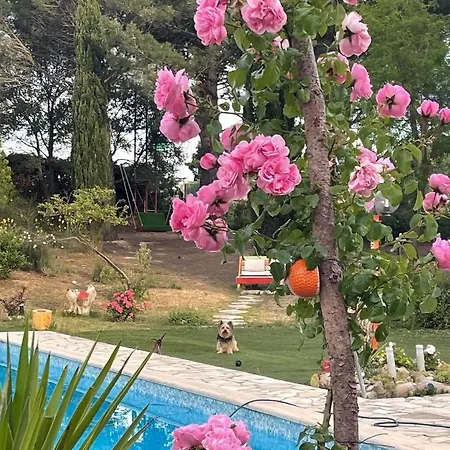 Bel Restaurant La Gentilhommiere Trebes