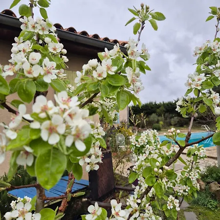 Bel Restaurant La Gentilhommiere Trèbes