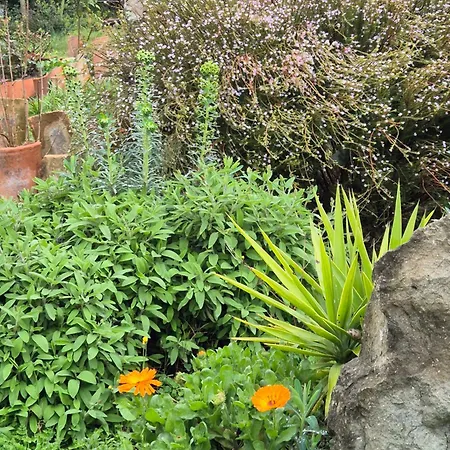 Bel Restaurant La Gentilhommiere